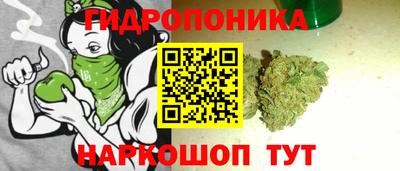 Альфа ПВП Бердск