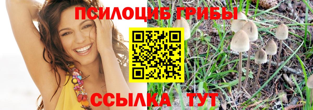 Краснознаменск  Псилоцибиновые грибы прущие грибы  Вход с VPN 